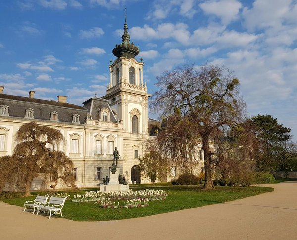 What Steps to Take for Insuring a Property with a Heritage Garden in Northern Ireland?